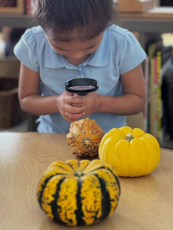 A little girl looks at a gourd through a magnifying glass